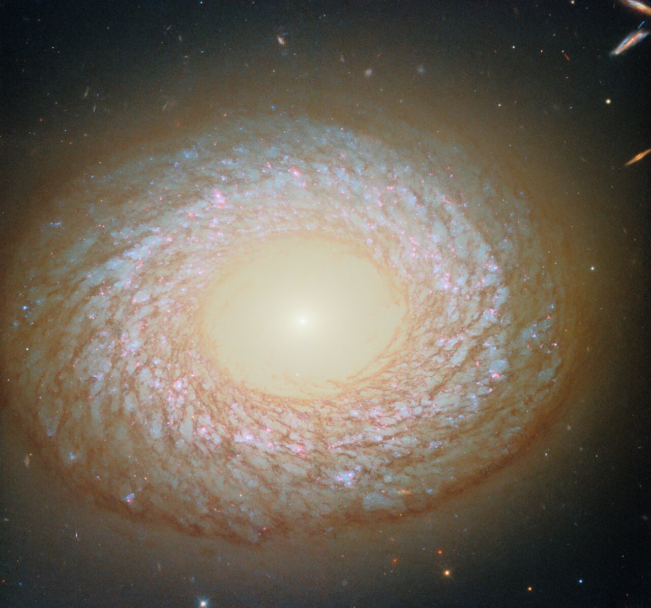 Pic of the Week: The Indescribable NGC 2775 – Our Awesome Universe